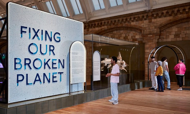 The Natural History Museum